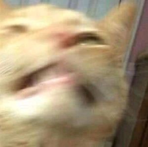 Meet your Posher, Christian